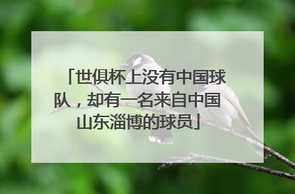 世俱杯上没有中国球队，却有一名来自中国山东淄博的球员