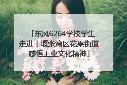 东风6264学校学生走进十堰张湾区花果街道感悟工业文化精神