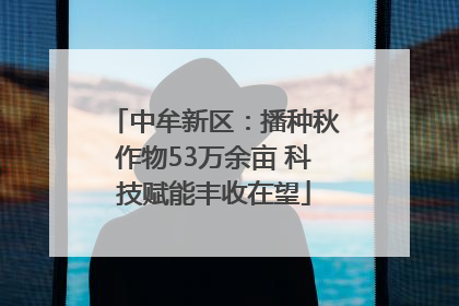 中牟新区：播种秋作物53万余亩 科技赋能丰收在望