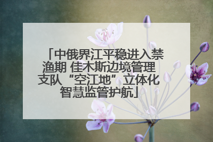 中俄界江平稳进入禁渔期 佳木斯边境管理支队“空江地”立体化智慧监管护航