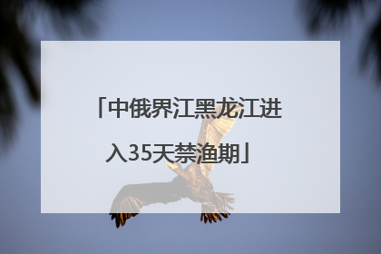 中俄界江黑龙江进入35天禁渔期
