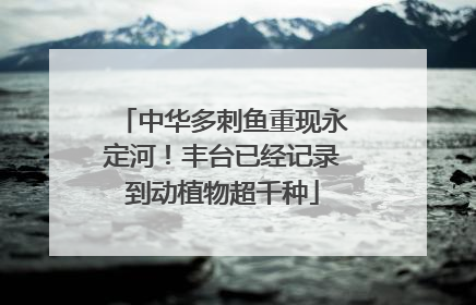 中华多刺鱼重现永定河！丰台已经记录到动植物超千种