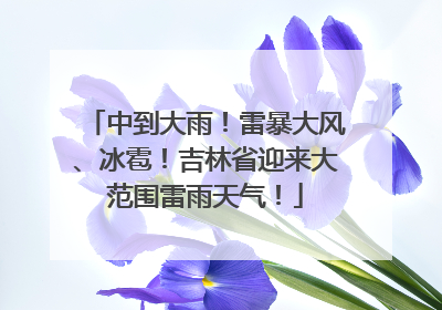 中到大雨！雷暴大风、冰雹！吉林省迎来大范围雷雨天气！