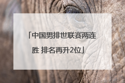 中国男排世联赛两连胜 排名再升2位
