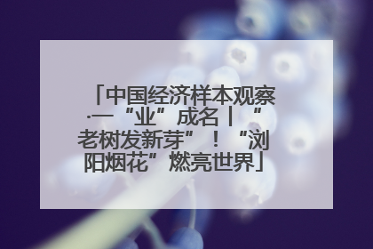 中国经济样本观察·一“业”成名丨“老树发新芽”！“浏阳烟花”燃亮世界