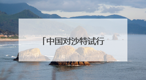 中国对沙特试行免签，来自沙特的他第一次来沪就感受到便利
