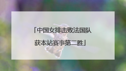中国女排击败法国队 获本站赛事第二胜