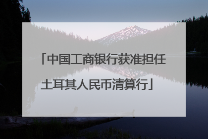 中国工商银行获准担任土耳其人民币清算行