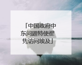 中国政府中东问题特使翟隽访问埃及