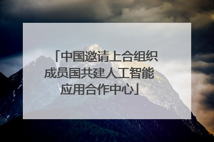 中国邀请上合组织成员国共建人工智能应用合作中心