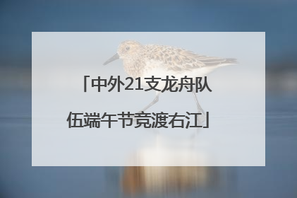 中外21支龙舟队伍端午节竞渡右江