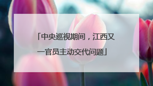 中央巡视期间，江西又一官员主动交代问题