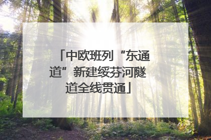 中欧班列“东通道”新建绥芬河隧道全线贯通