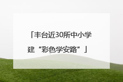 丰台近30所中小学建“彩色学安路”