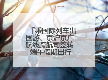 乘国际列车出国游、京沪京广航线跨航司签转 端午假期出行有了更多选择