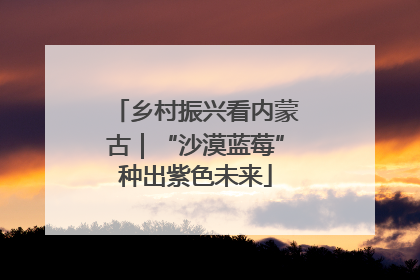 乡村振兴看内蒙古｜“沙漠蓝莓”种出紫色未来