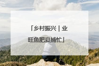 乡村振兴｜业旺鱼肥夏捕忙
