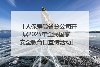 人保寿险省分公司开展2025年全民国家安全教育日宣传活动