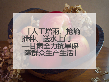 人工增雨、抢墒播种、送水上门——甘肃全力抗旱保障群众生产生活