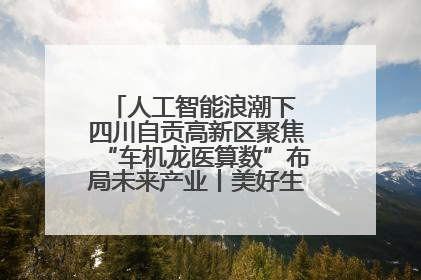 人工智能浪潮下 四川自贡高新区聚焦“车机龙医算数”布局未来产业丨美好生活有“盐”味