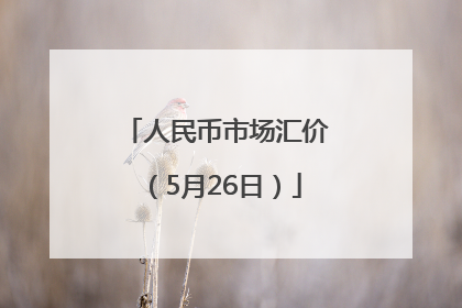 人民币市场汇价（5月26日）