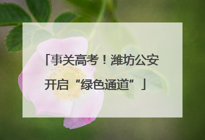 事关高考！潍坊公安开启“绿色通道”