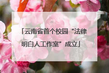 云南省首个校园“法律明白人工作室”成立