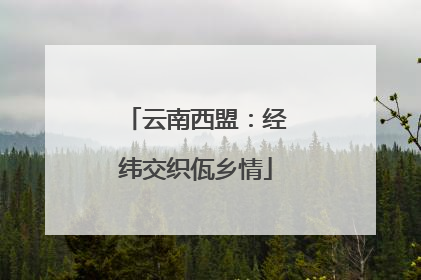 云南西盟：经纬交织佤乡情