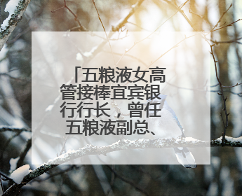 五粮液女高管接棒宜宾银行行长，曾任五粮液副总、董秘等职