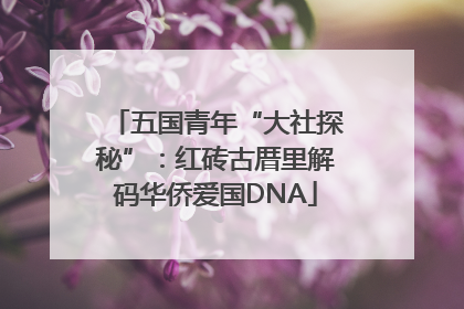 五国青年“大社探秘”：红砖古厝里解码华侨爱国DNA