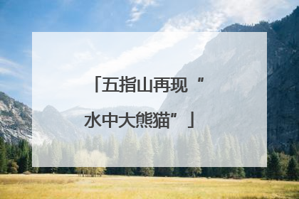 五指山再现“水中大熊猫”