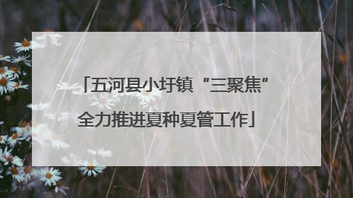 五河县小圩镇“三聚焦”全力推进夏种夏管工作