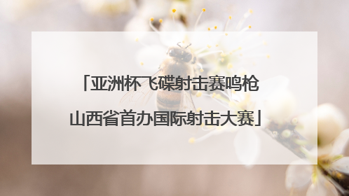 亚洲杯飞碟射击赛鸣枪 山西省首办国际射击大赛