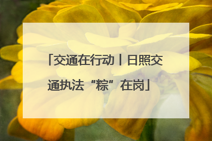 交通在行动丨日照交通执法“粽”在岗