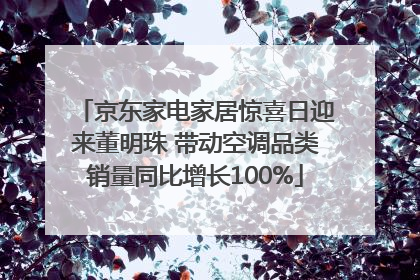 京东家电家居惊喜日迎来董明珠 带动空调品类销量同比增长100%