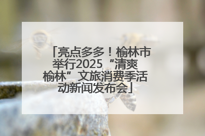 亮点多多！榆林市举行2025“清爽榆林”文旅消费季活动新闻发布会