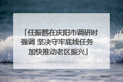 任振鹤在庆阳市调研时强调 坚决守牢底线任务 加快推动老区振兴