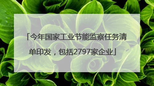 今年国家工业节能监察任务清单印发，包括2797家企业