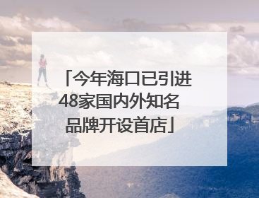 今年海口已引进48家国内外知名品牌开设首店