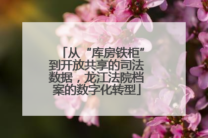 从“库房铁柜”到开放共享的司法数据，龙江法院档案的数字化转型