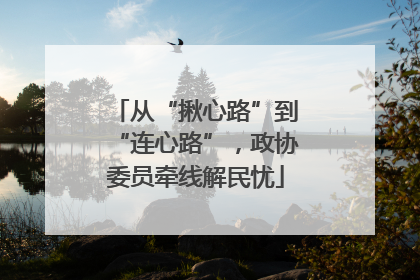 从“揪心路”到“连心路”，政协委员牵线解民忧