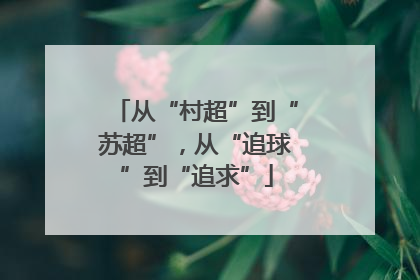 从“村超”到“苏超”，从“追球”到“追求”