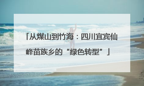 从煤山到竹海：四川宜宾仙峰苗族乡的“绿色转型”