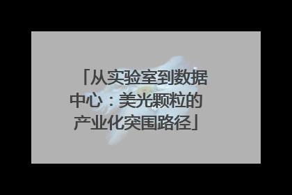 从实验室到数据中心：美光颗粒的产业化突围路径