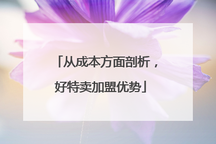 从成本方面剖析，好特卖加盟优势