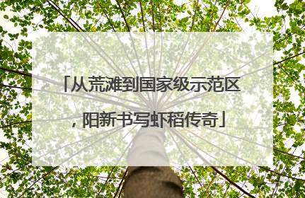 从荒滩到国家级示范区，阳新书写虾稻传奇