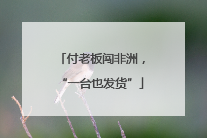付老板闯非洲，“一台也发货”