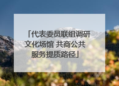 代表委员联组调研文化场馆 共商公共服务提质路径