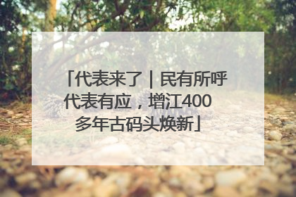 代表来了｜民有所呼代表有应，增江400多年古码头焕新