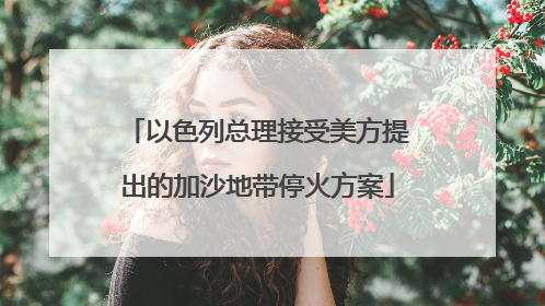 以色列总理接受美方提出的加沙地带停火方案